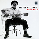 BIG JOE WILLIAMS「I Got Wild」