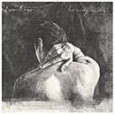 LOW ROAR「Once In A Long, Long While...」