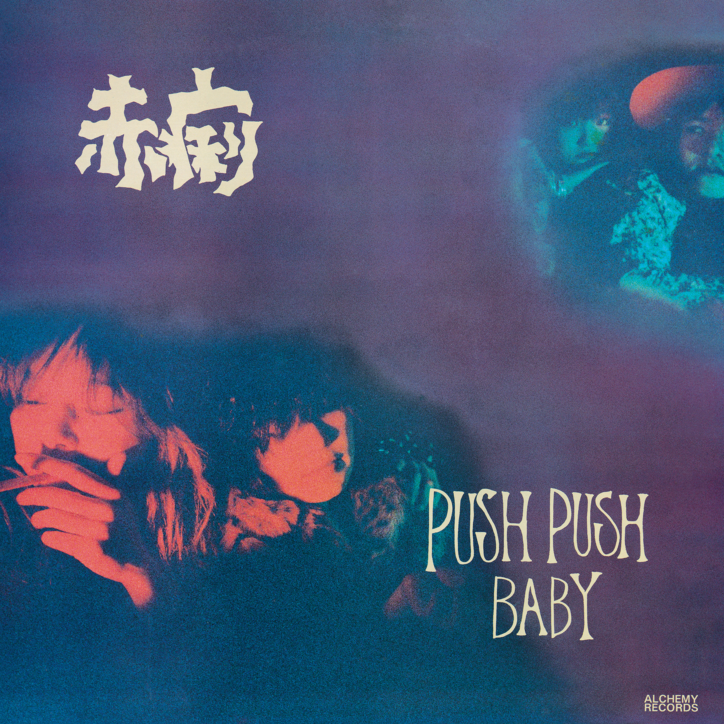 SEKIRI「PUSH PUSH BABY」