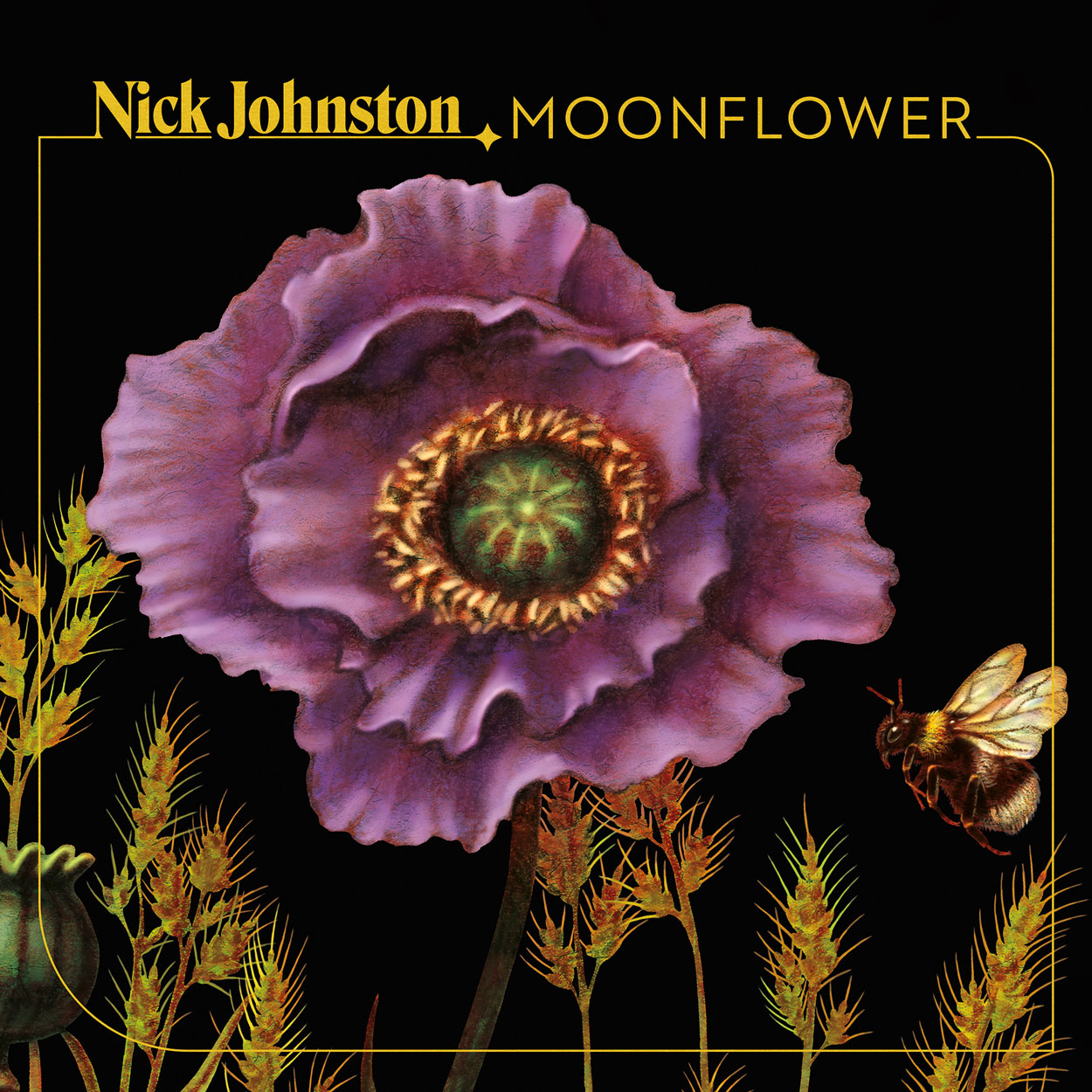 NICK JOHNSTON「Moonflower」