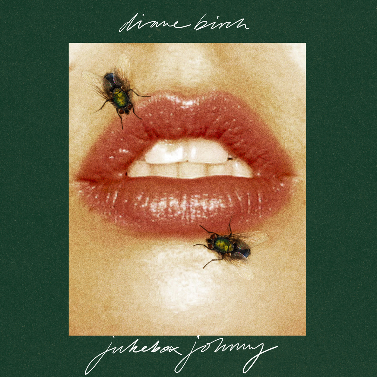 DIANE BIRCH「Jukebox Johnny」