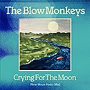 THE BLOW MONKEYS「Crying For The Moon (New Moon Radio Mix)」