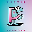 PEAVIS「Another Vase」