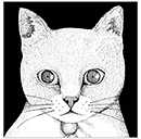 ALL YOU NEED IS CAT~猫こそはすべて