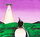 SOUTH PENGUIN「Y」