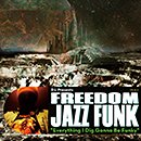 D.L Presents Freedom Jazz Funk "Everything I Dig Gonna Be Funky"