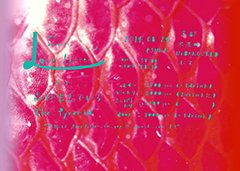 森は生きている、8/24(日)京都木屋町UrBANGUILDにて開催の『Loveletter』へ出演決定！