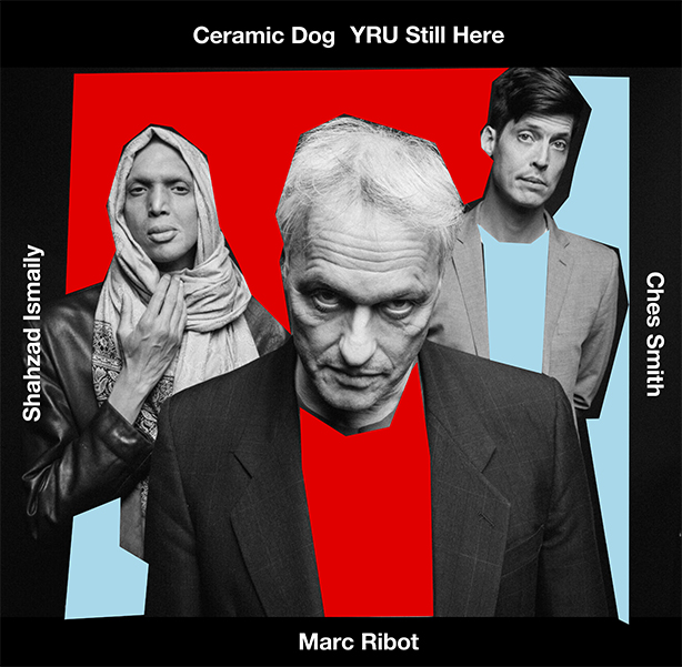 MARC RIBOT'S CERAMIC DOG Japan Tour 2018 at Fuji Rock