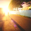 Seiichi Yamamoto「flare」