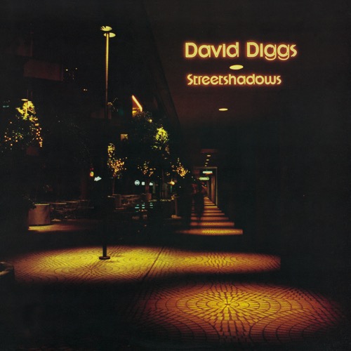 David Diggs「Streetshadows」