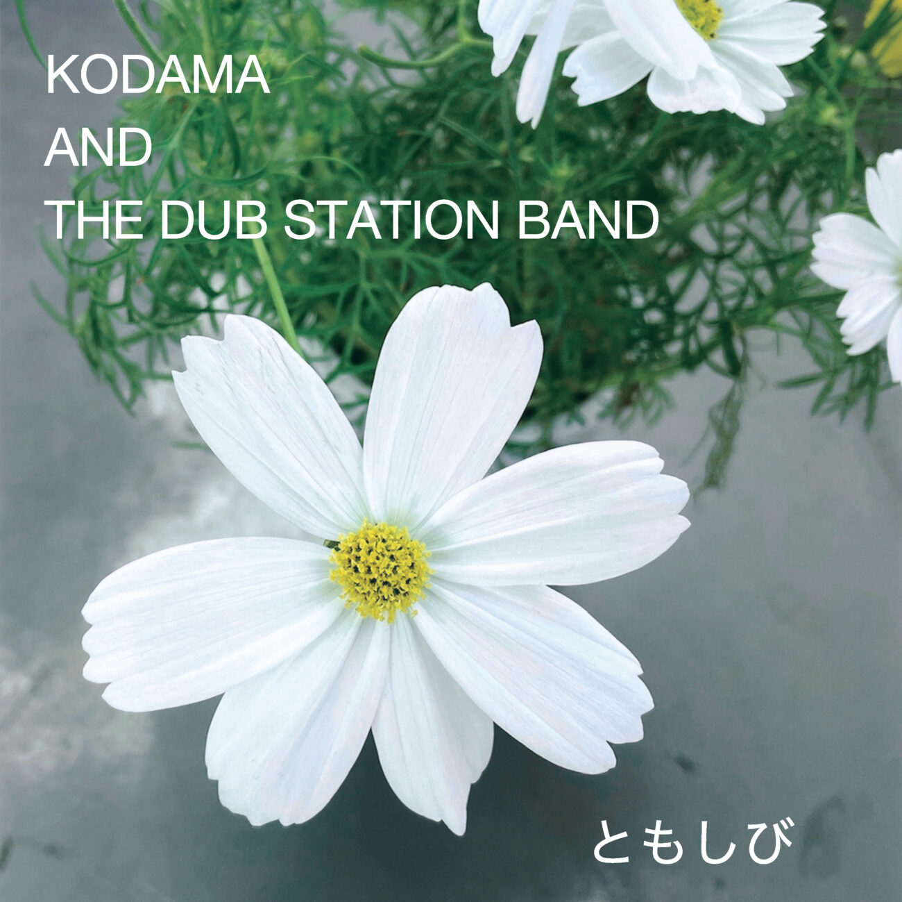 COVER曲集　♪ともしび♪