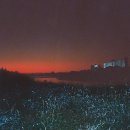 夜だけが知っている