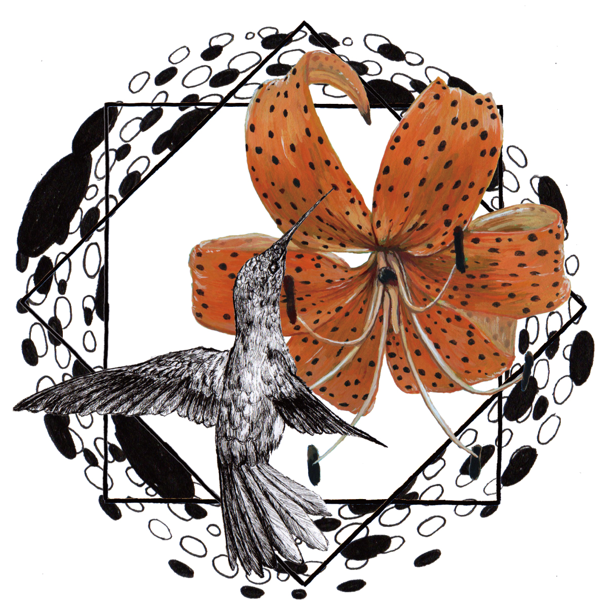 Don't You Worry 'bout a Thing feat.mizqui / Dragonfly