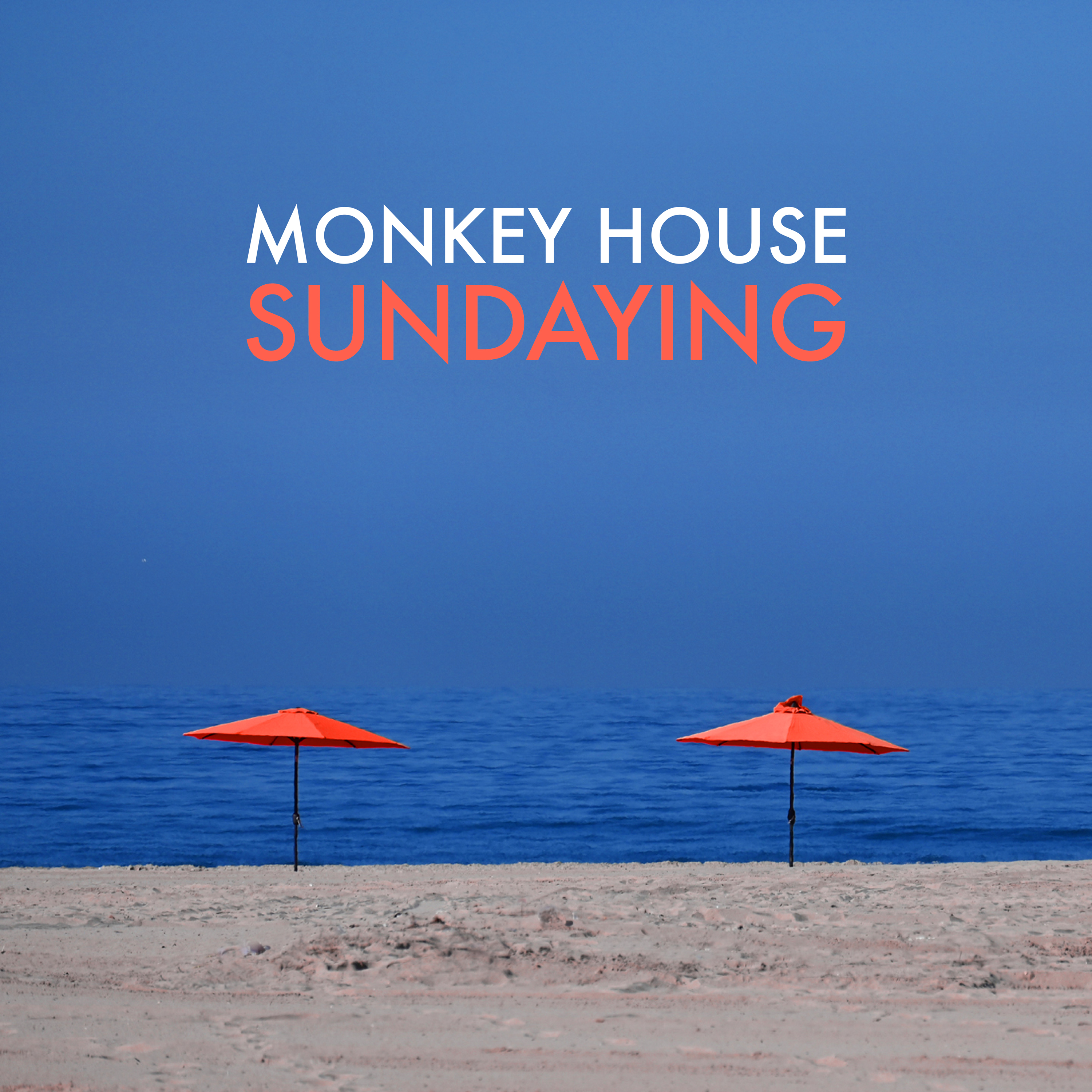 MONKEY HOUSE「Sundaying」