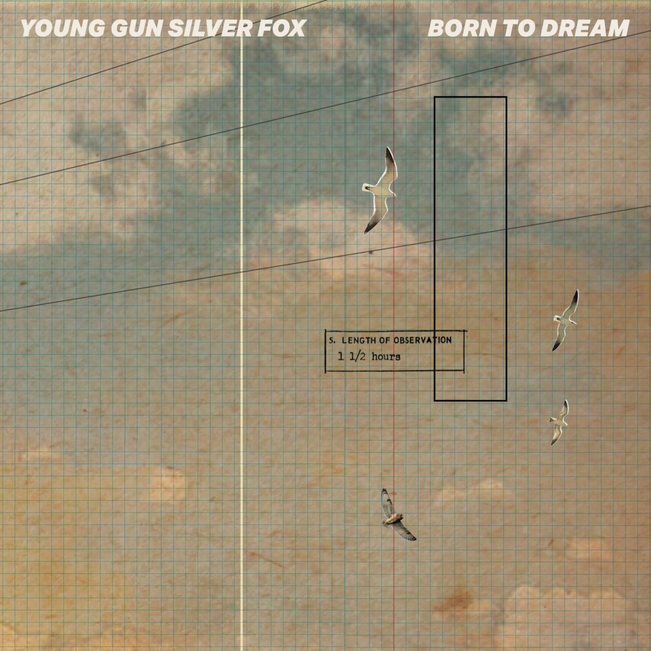 YOUNG GUN SILVER FOX「Born to dream」