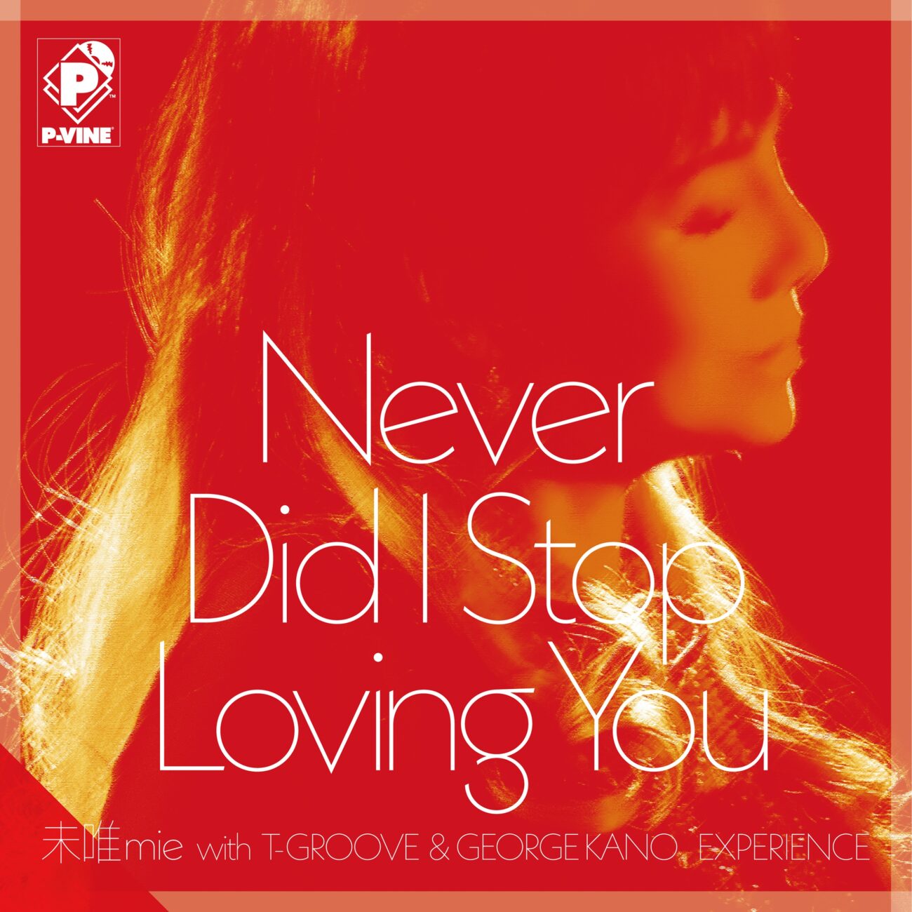 Never Did I Stop Loving You