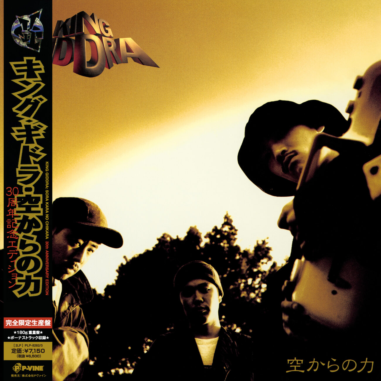 空からの力:30周年記念エディション