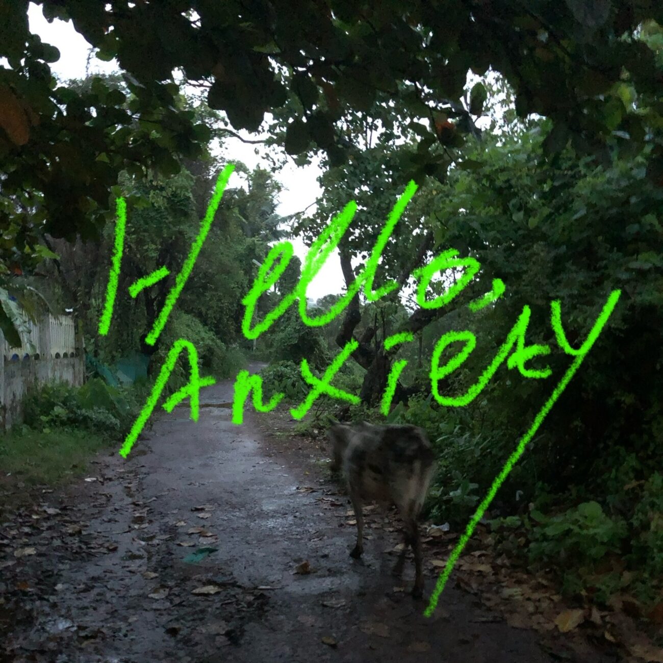 V.A.「Hello, Anxiety」
