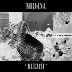 NIRVANA、「レコチョク」にて「着うた(R)」「着うたフル(R)」先行配信開始！