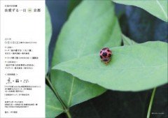 6月4日(土)(ムシの日) に鈴木海花さんのイベント@ガケ書房