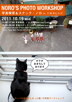 『ヨーロッパを旅してしまった猫』の黒猫ノロが六本木ヒルズにやってくる！