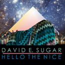 DAVID E. SUGAR「Hello The Nice」