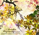 ANAN RYOKO「Another Beginning」