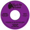 MOUNTAIN MOCHA KILIMANJARO「Sunshine of the Spotless Mind c/w K.I.T.T. - KNIGHT RIDER MAIN TITLE (DJ UPPERCUT REMIX)」