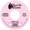 MOUNTAIN MOCHA KILIMANJARO「Perfect Time c/w The Long And Winding Road」